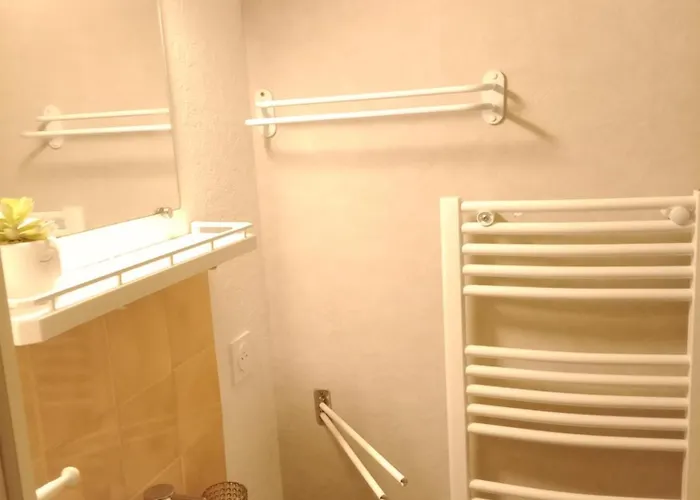 Remblai, Port, Commerces 公寓 *